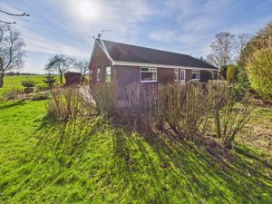 Front- click for photo gallery